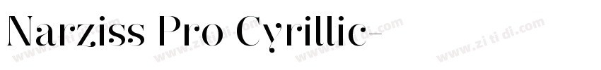 Narziss Pro Cyrillic字体转换